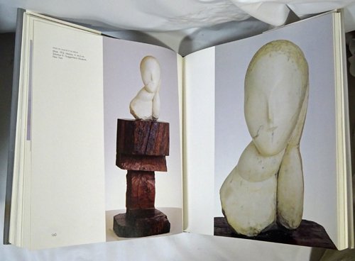 Brancusi ブランクーシ - 古本買取販売 ハモニカ古書店 建築 美術 写真 デザイン 近代文学 大阪府古書籍商組合加盟店