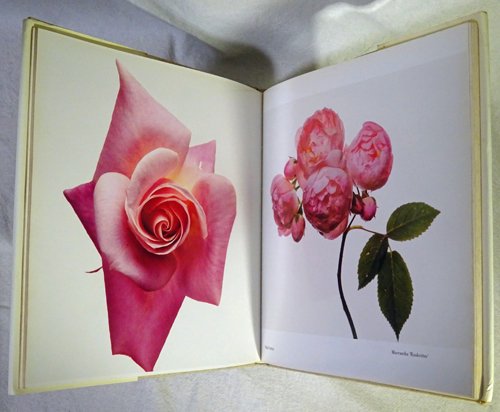 FLOWERS】Irving Penn 花の写真集 アーヴィング・ペン 洋書 フラワーズ