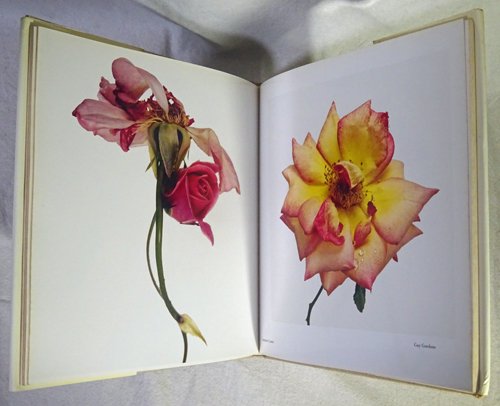 アーヴィング・ペン flowers Irving Penn - 洋書