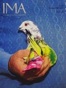 Amazon | IMA MAGAZINE vol.0 ? vol.10 vol.12?vol.26/26冊