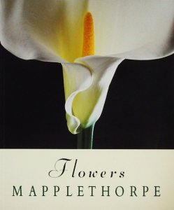 Robert Mapplethorpe: Flowers ロバート・メイプルソープ - 古本買取