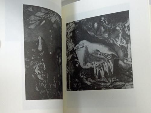 野中ユリ 画文集 Yuri Nonaka - 古本買取販売 ハモニカ古書店 建築