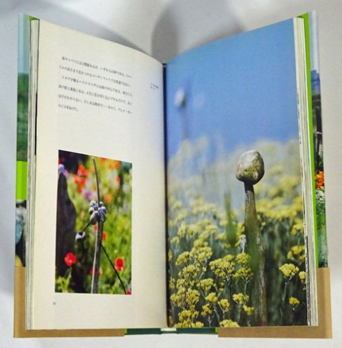 derek jarman's garden with photographs by howard sooley（日本語版