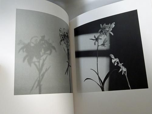 2022年最新版☆高級感溢れる MAPPLETHORPE ALTARS 写真集 メイプル