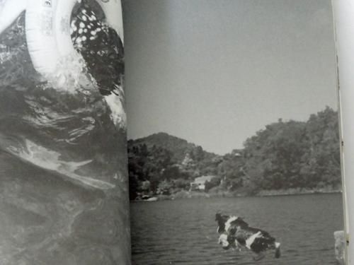 Put Me in the Water Selected Photographs of Takashi Homma