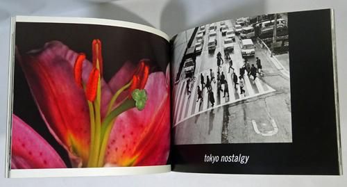 Nobuyoshi Araki (荒木経惟): Tokyo Still Life - BOOK OF DAYS