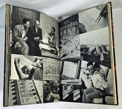 土門拳 ヒロシマ 写真集 1958 初版第1刷 研光社/広島原爆/広島