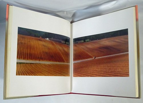 植田正治ベス単写真帖 白い風 サイン入り - 古本買取販売 ハモニカ古書店 建築 美術 写真 デザイン 近代文学 大阪府古書籍商組合加盟店