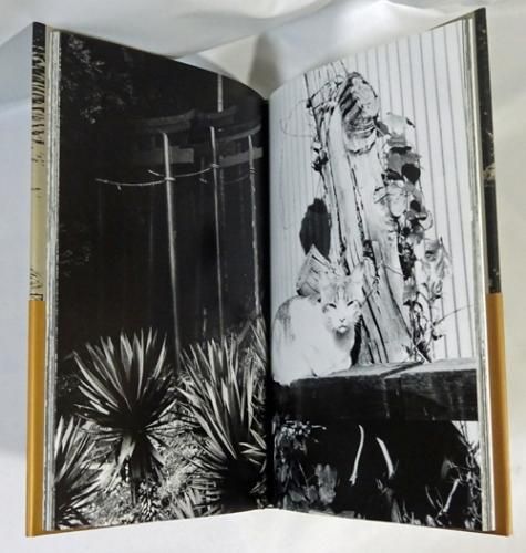 ADIEU A X | 中平卓馬 |本 | 通販 | Amazon