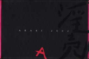 淫売 ARAKI 2002 荒木経惟 - 古本買取販売 ハモニカ古書店 建築 美術 