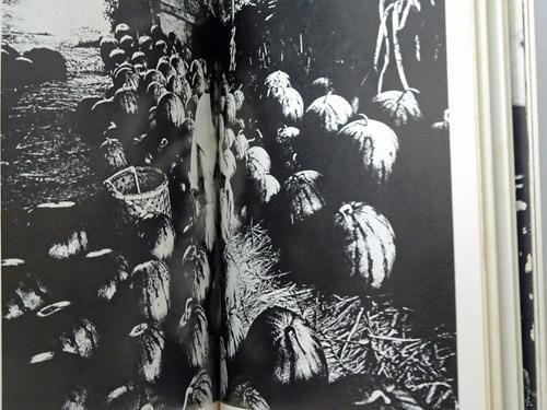 三里塚 北井一夫写真集 - 古本買取販売 ハモニカ古書店 建築