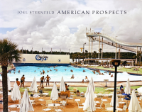 Joel Sternfeld: American Prospects 票롦ե