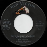 The Lion Sleeps Tonight / Tina