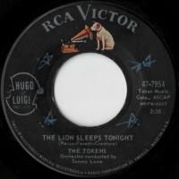 The Lion Sleeps Tonight / Tina
