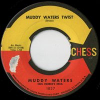 Muddy Waters Twist / You Shook Me