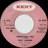 Irresistible You / Honky Dory