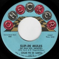 Slip-In Mules (No High Heel Sneakers) / Mr & Mrs