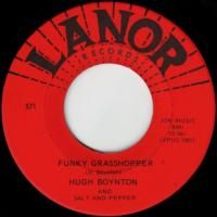 Funky Grasshopper / No More And No Less
