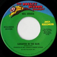 Laughter In The Rain / Endlessly