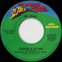 Laughter In The Rain / Endlessly