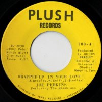 Wrapped Up In Your Love / Looking For A Woman