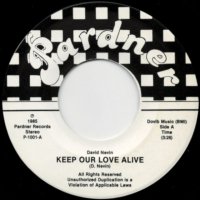Keep Our Love Alive / The Maze