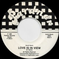 Love Is In View / Shine