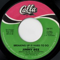Breaking Up Is Hard To Do / March Funky