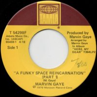 A Funky Space Reincarnation (pt.1) / (pt.2)