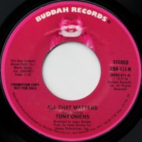 All The Matters (stereo) / (mono)