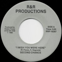 I Wish You Were Here (vo) / (inst)