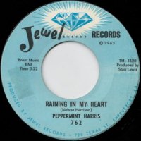 Raining In My Heart / My Time After While