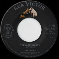 Teenage Sonata / If You Were The Only Girl