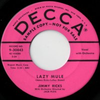 Lazy Mule / What Have I Done