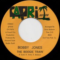 The Boogie Train / (inst)