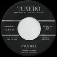 Wild Hog / I'm Falling For You