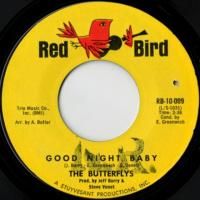 Good Night Baby / The Swim