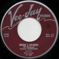 Here I Stand / My Baby Likes To Rock