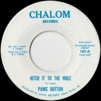 Hitch It To The Mule / Lovin' Horns