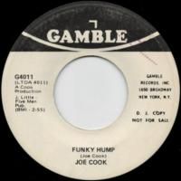 Funky Hump / America Don't Turn Your Back