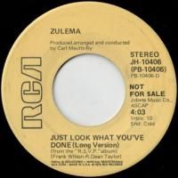 Just Look What You've Done (long ver)/ (short ver)