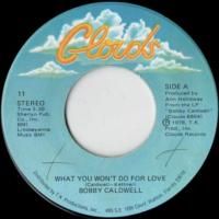 What You Won't Do For Love / Love Won't Wait