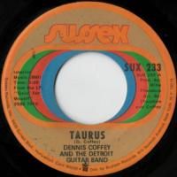 Tourus / Can You Feel It