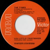 You Little Trustmaker / The North Hills