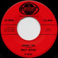 Honey Bee / The Joker