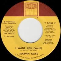 I Want You (vo) / (inst)