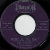 Softly In The Nights / Don't Say Nothin' bad
