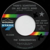 There's Something On My Baby's Mind / If You Don't Know