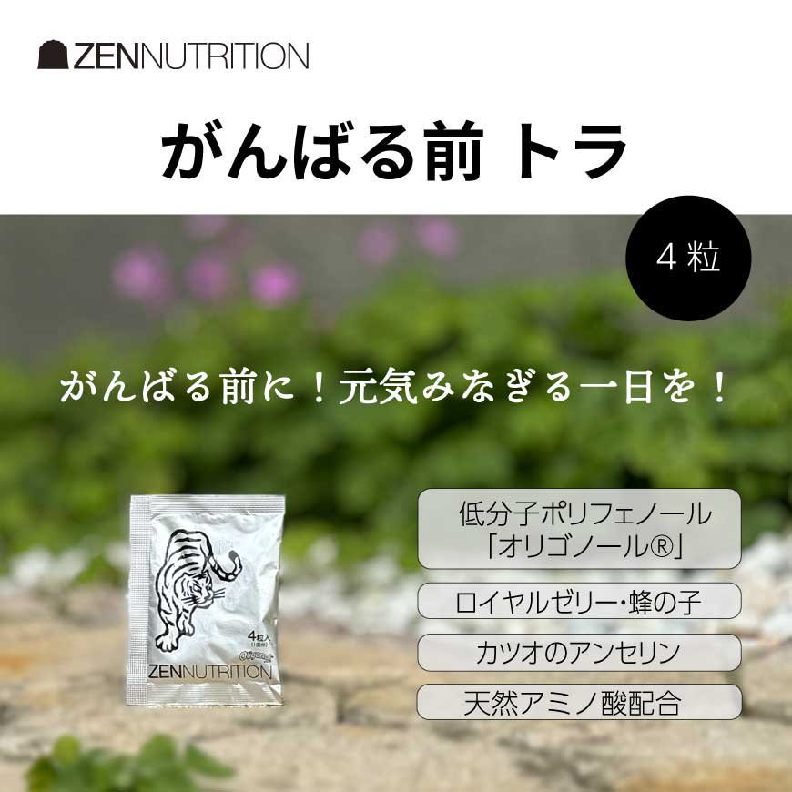 活動前　BEFORE トラ 　4粒（1回分） - ZEN NUTRITION　公式オンラインストア