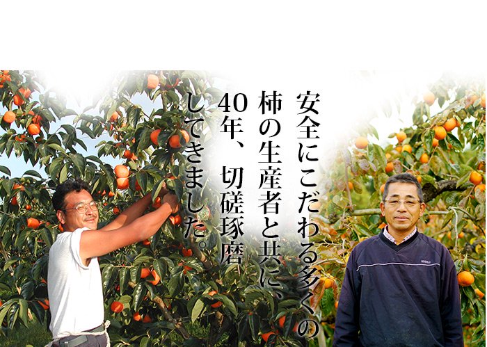 2安全にこだわる柿の生産者